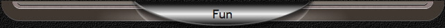 Fun
